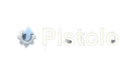 Pistolo